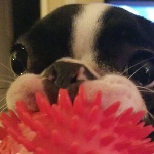 Meet your Posher, Camron